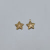 Starfish Medium