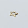 Star Openwork with Edge