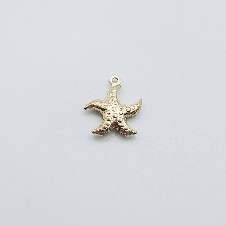 Starfish ( Already Folded )