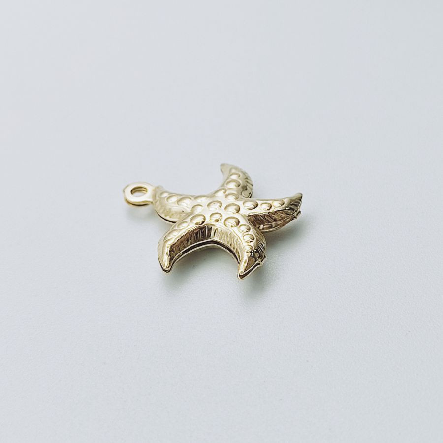 Starfish ( Already Folded ) – Image 2