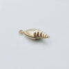 Shell ( Already Folded )