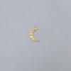 Moon Dream with Stars