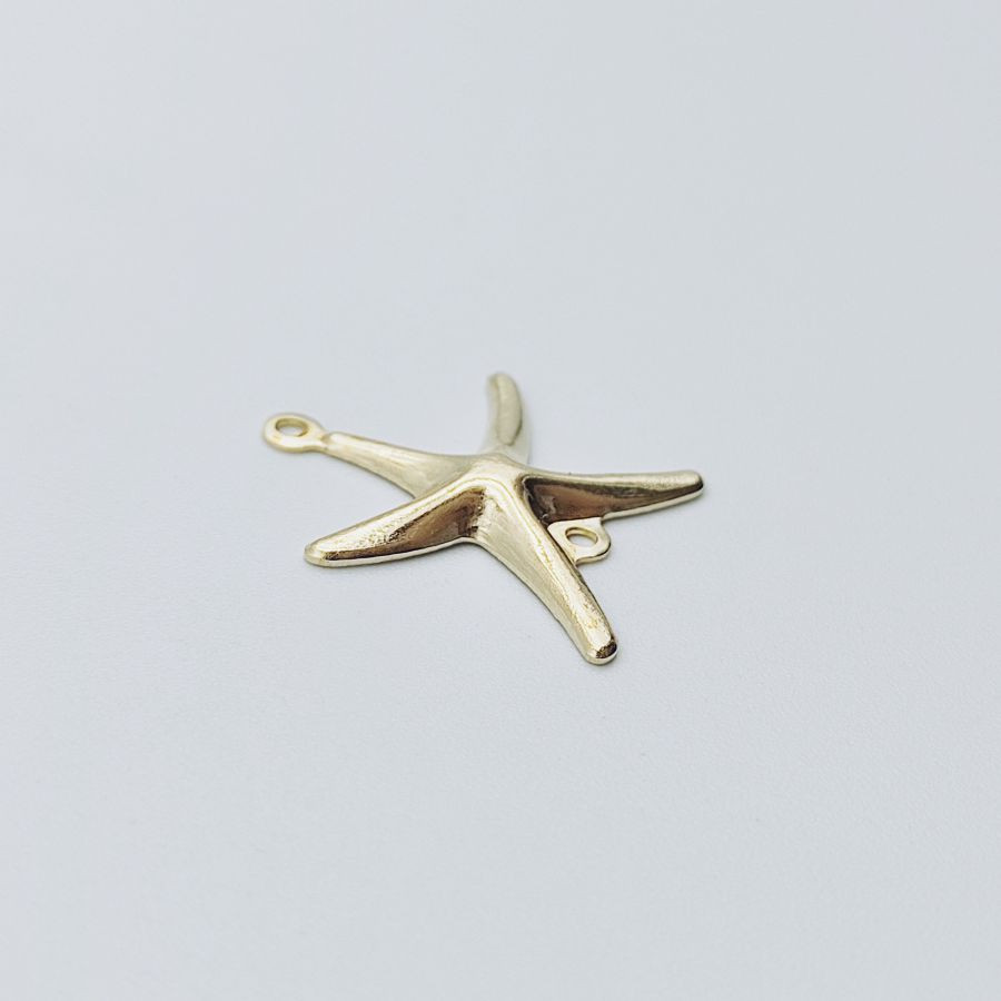 Starfish - Image 2