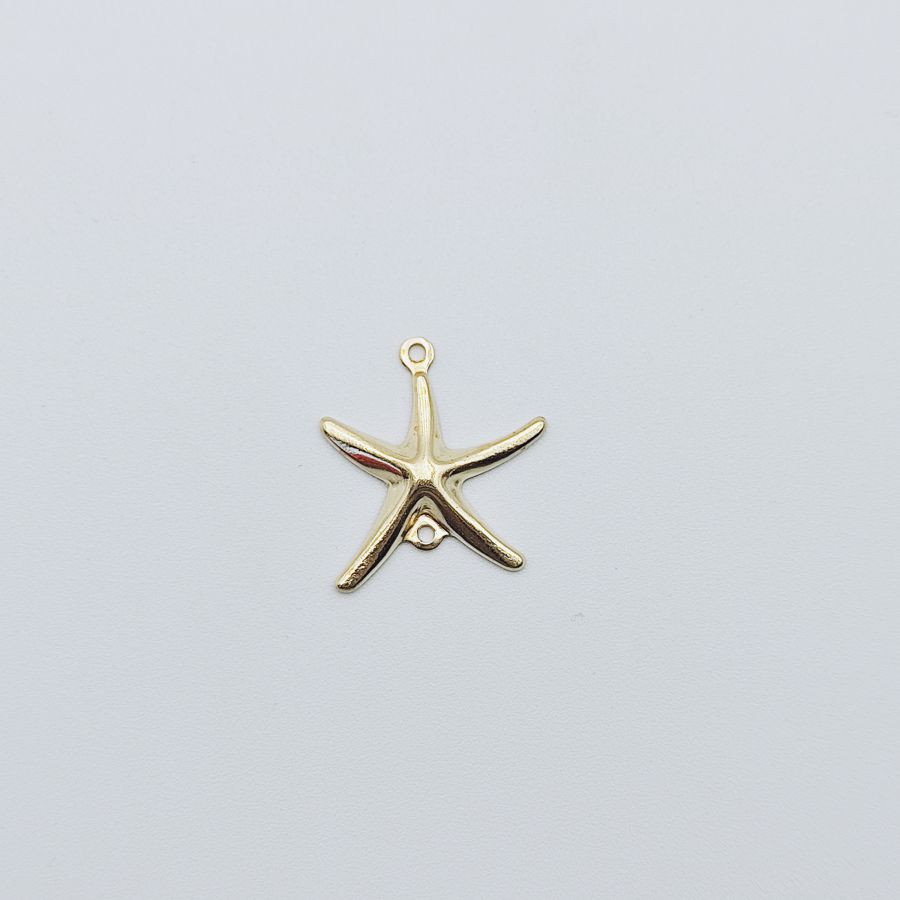 Starfish - Image 4