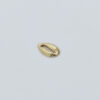 Cowrie Shell Mini without Jump Ring