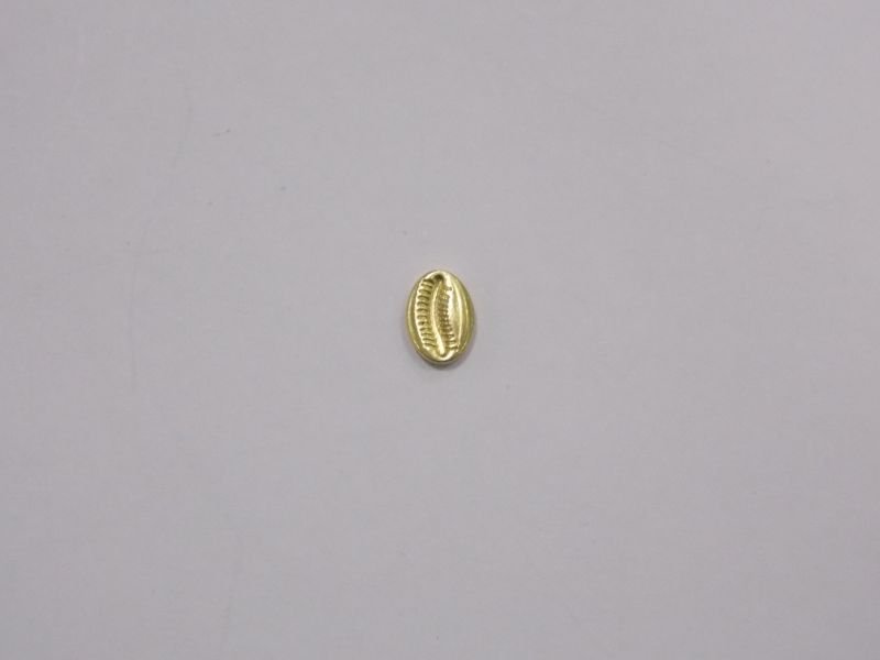 Cowrie Shell 5,5x4mm without Openwork without Bail
