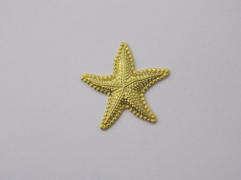 Starfish 20mm without Bail without Hole Edge Textured