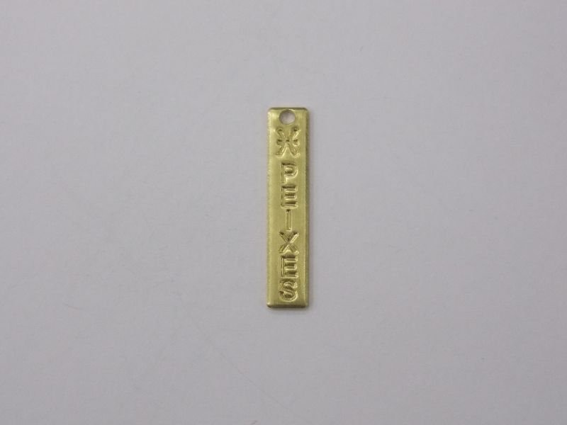 Plate Stamped 20x4 zodiac Sign Fish with 1 Bail