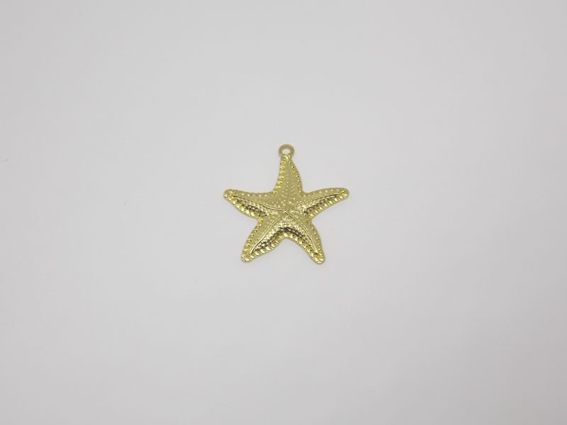 Starfish 20mm with Bail Edge Textured