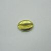 Cowrie Shell 8mm without Openwork without Bail