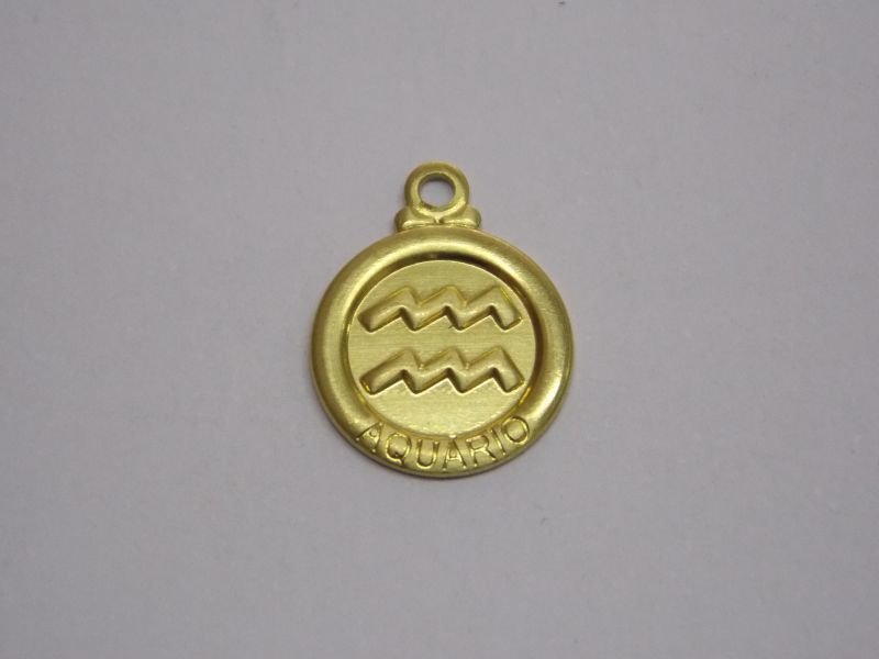 Pendant Round 11mm Zodiac Sign Aquarius with Bail