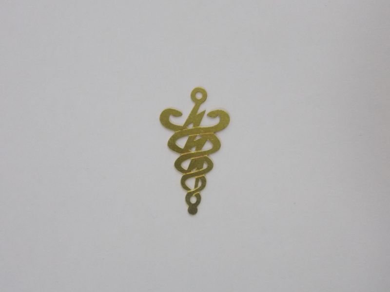 Photo-etched Profession Physiotherapy 21mm