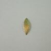 Marquise Domed Diamond-cut with 1 Hole 18mm