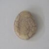 Oval Crimped Acrylic Beige with Pass-through Hole 19x24mm