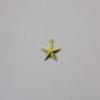 Star 10mm Diamond-cut with Bail