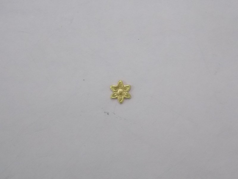 Daisy Mini 5x5
