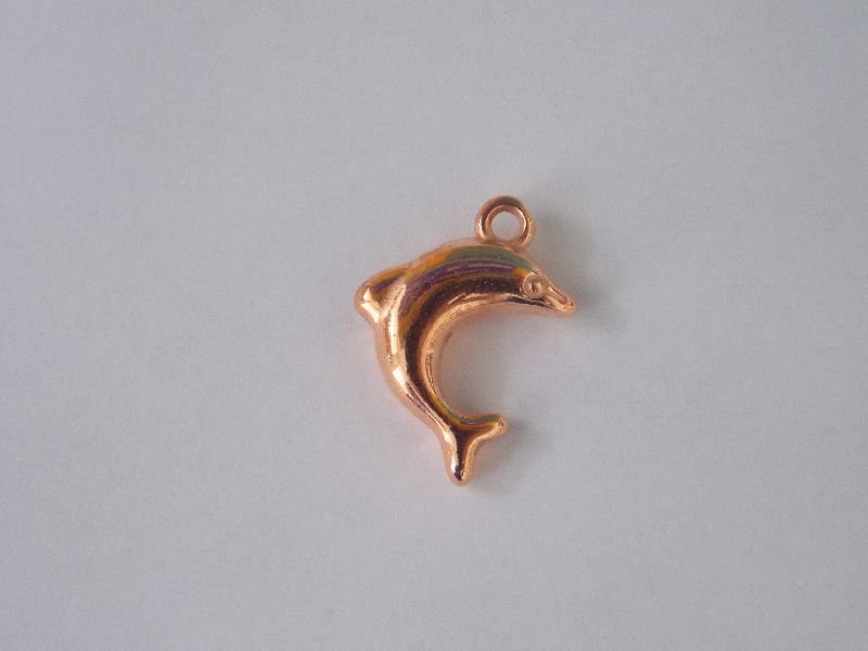 Dolphin ABS 20mm with Bail