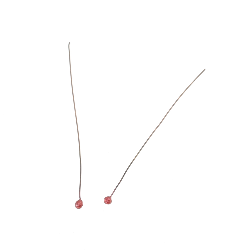 Pin of Wire of Copper 0.4X50 with Bail 2